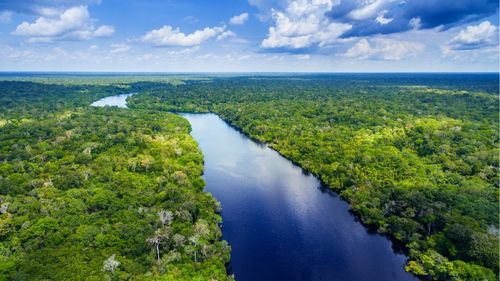 Brasilien: Abendteuertour durch den Amazonas