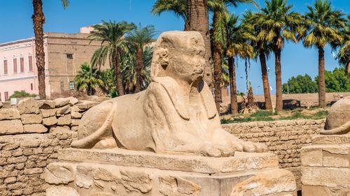 El Naaba: Ausflug nach Luxor El Naaba: Ausflug nach Luxor