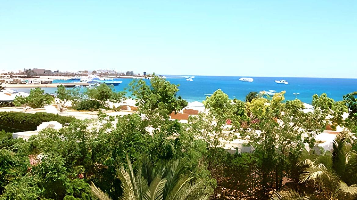 Soma Bay: Aussicht vom Komforthotel