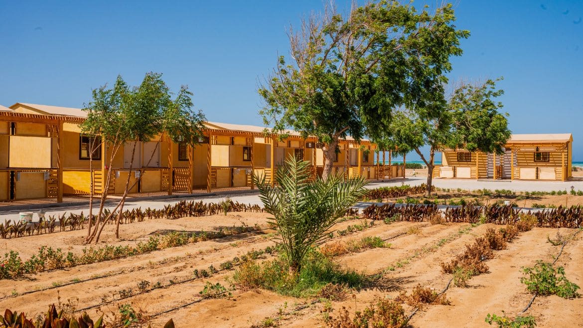 Hamata: Kite Camp Hamata mit toller Gartenanlage Hamata: Kite Camp Hamata mit toller Gartenanlage