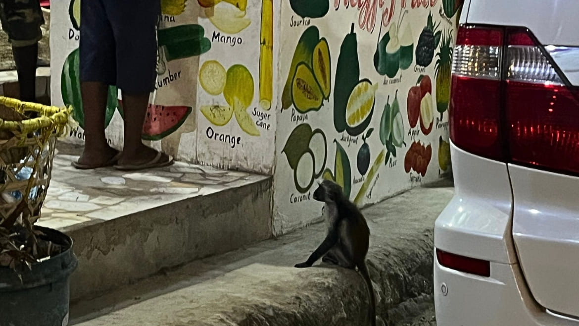 Die Kleinen dürfen natürlich auch nicht fehlen