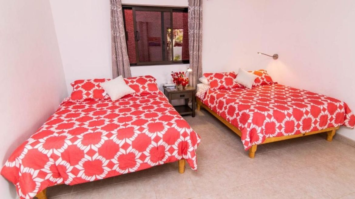 Die Standardzimmer verfügen über zwei Doppelbetten oder Twinbetten