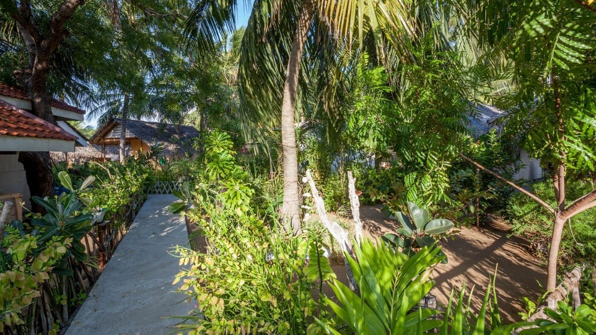 Kalpitiya: Die Surf Cabanas sind umgeben von vielen wunderbaren Pflanzen