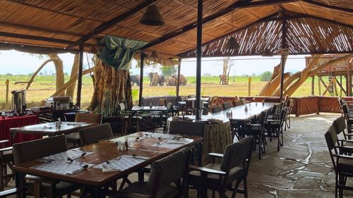 Kenia: Elefanten direkt am Wasserloch beobachten Kenia: Elefanten direkt am Wasserloch beobachten