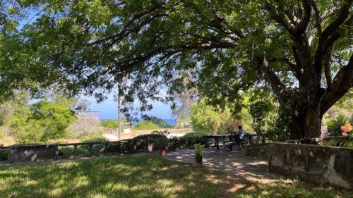 Kilifi: Gartenbereich mit Meerblick