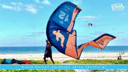 News: Newsletter August 2023