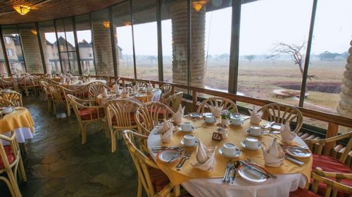 Kenia: Tierbeobachtungen während der Mahlzeiten Kenia: Tierbeobachtungen während der Mahlzeiten