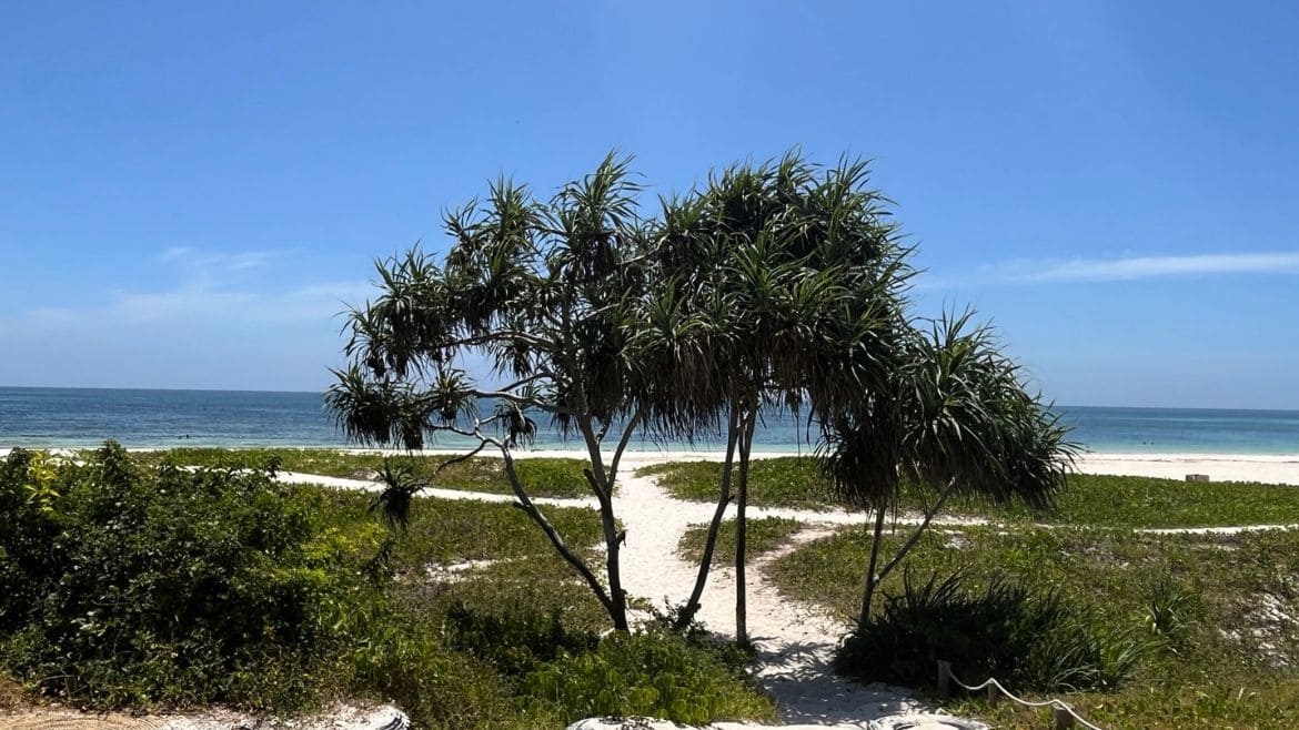 Kilifi: Strandbereich des Eco Surf Cottage