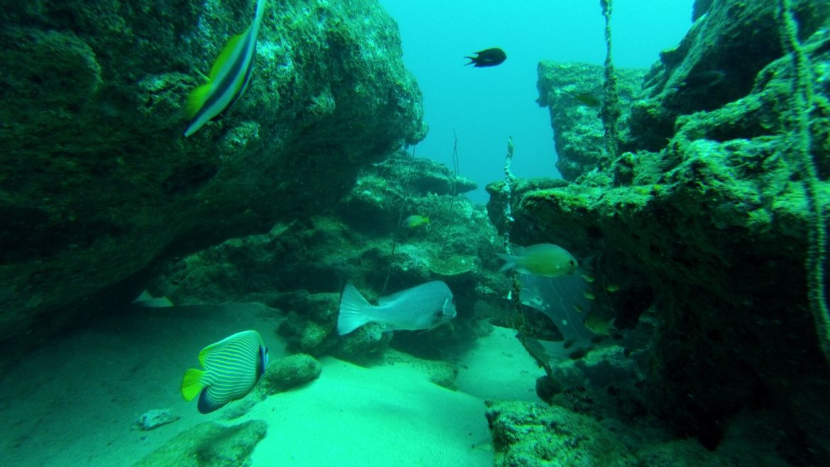 Kappalady: Tolle Unterwasserwelt