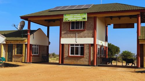 Kenia: Das Buchuma Tor Kenia: Das Buchuma Tor