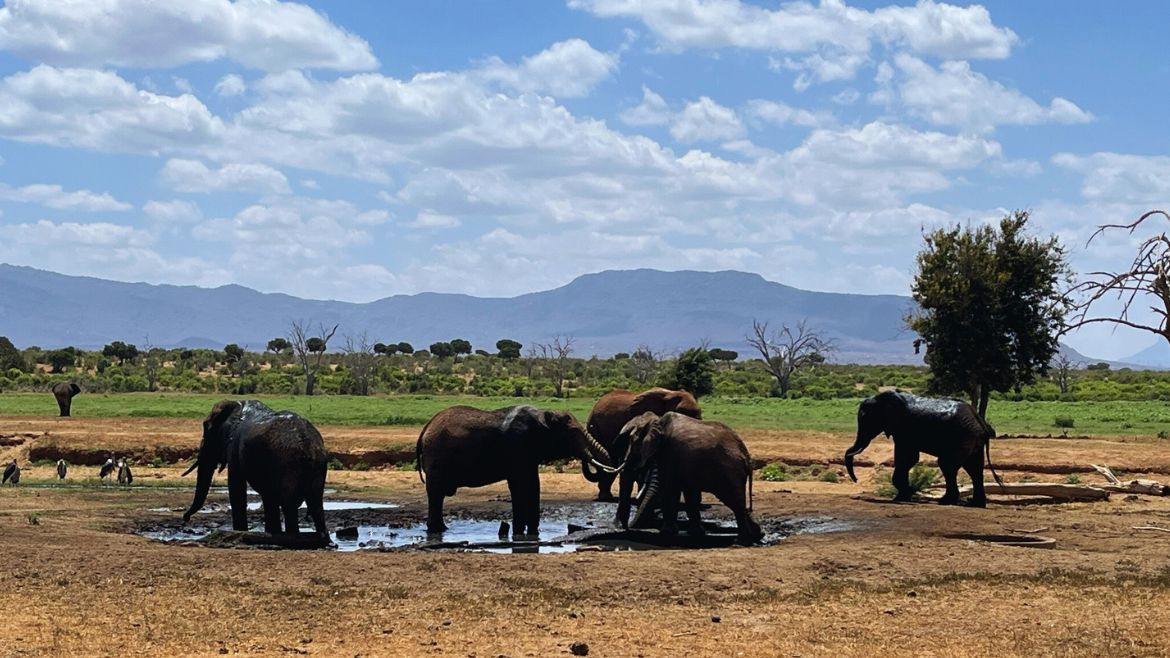 Kenia: Unvergessliche Eindrücke erleben