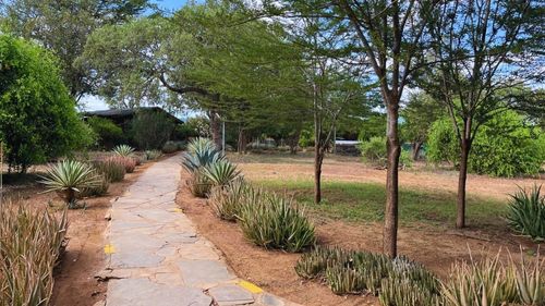 Kenia: Weg durch das Camp Kenia: Weg durch das Camp