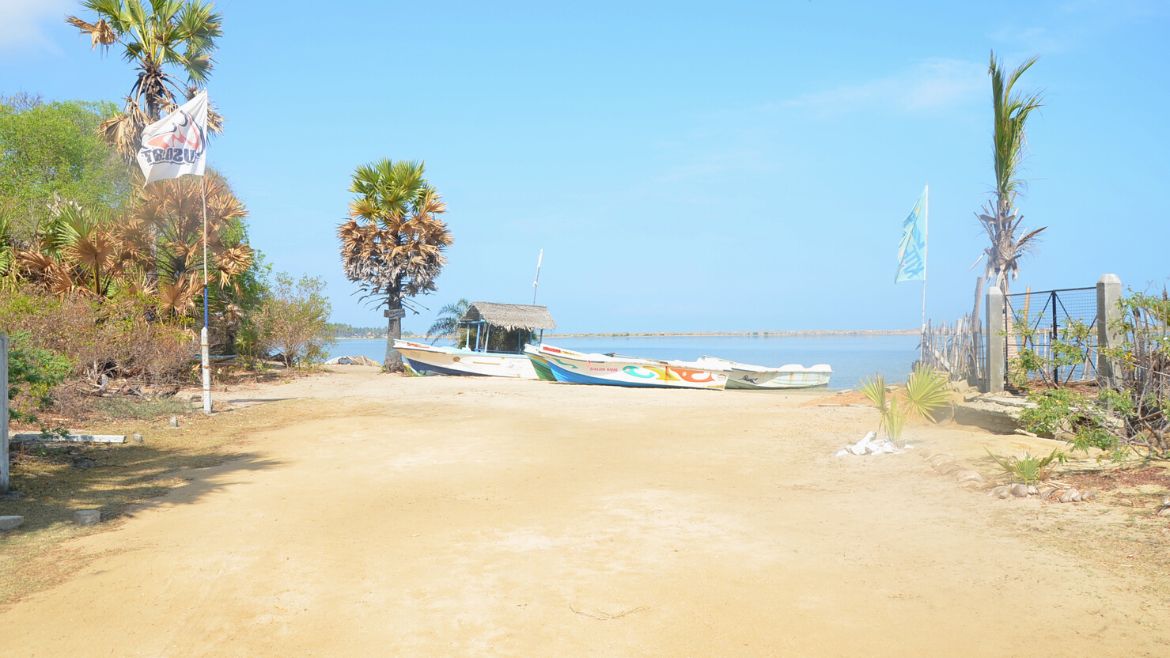 Kalpitiya: Weg zur Lagune